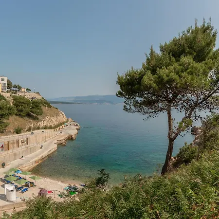 Panorama * فربنيك